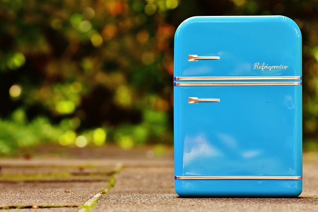 Liebherr-køleskabe: Optimeret opbevaring til at opfylde dine behov i hverdagen