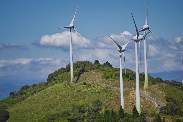 Hvorfor olievalg er afgørende for din generators levetid